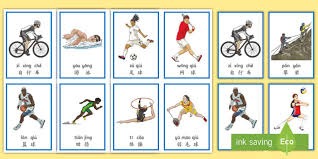 卡塔尔网球公开赛｜ 佐科维治意外出局 张之臻膺亚洲一哥